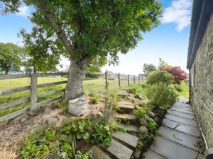 Photo 22- click for photo gallery